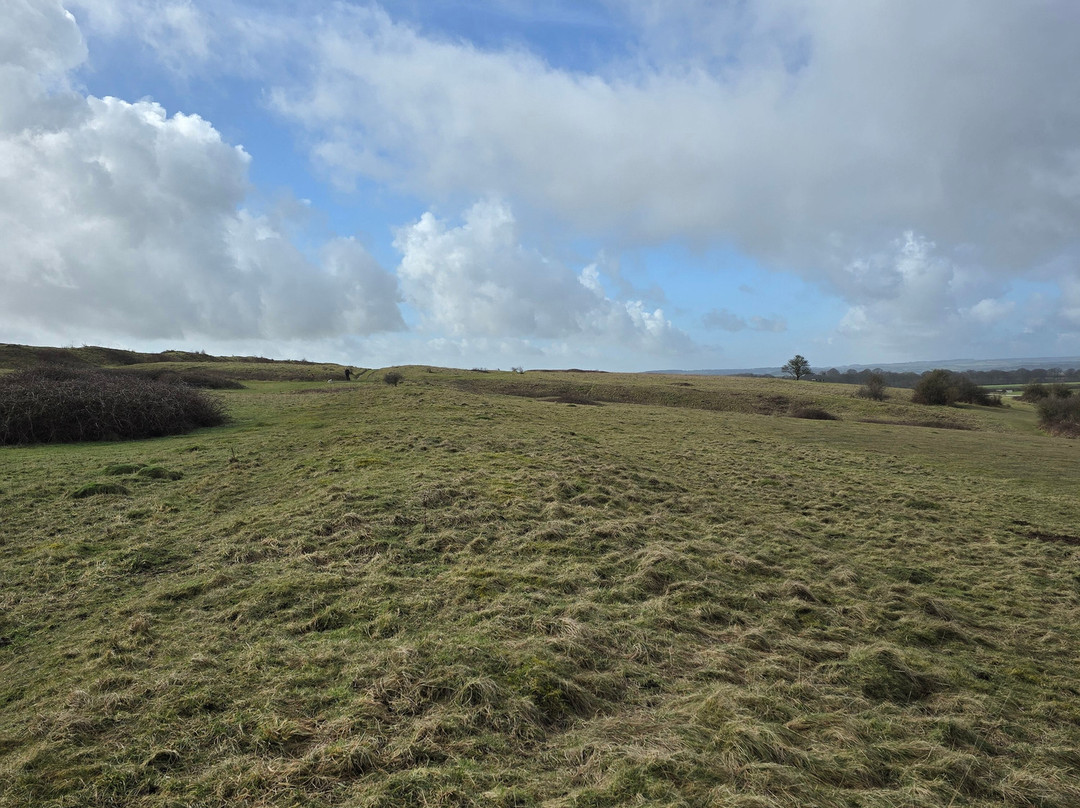 Badbury Rings-Wimborne Minster必去景点