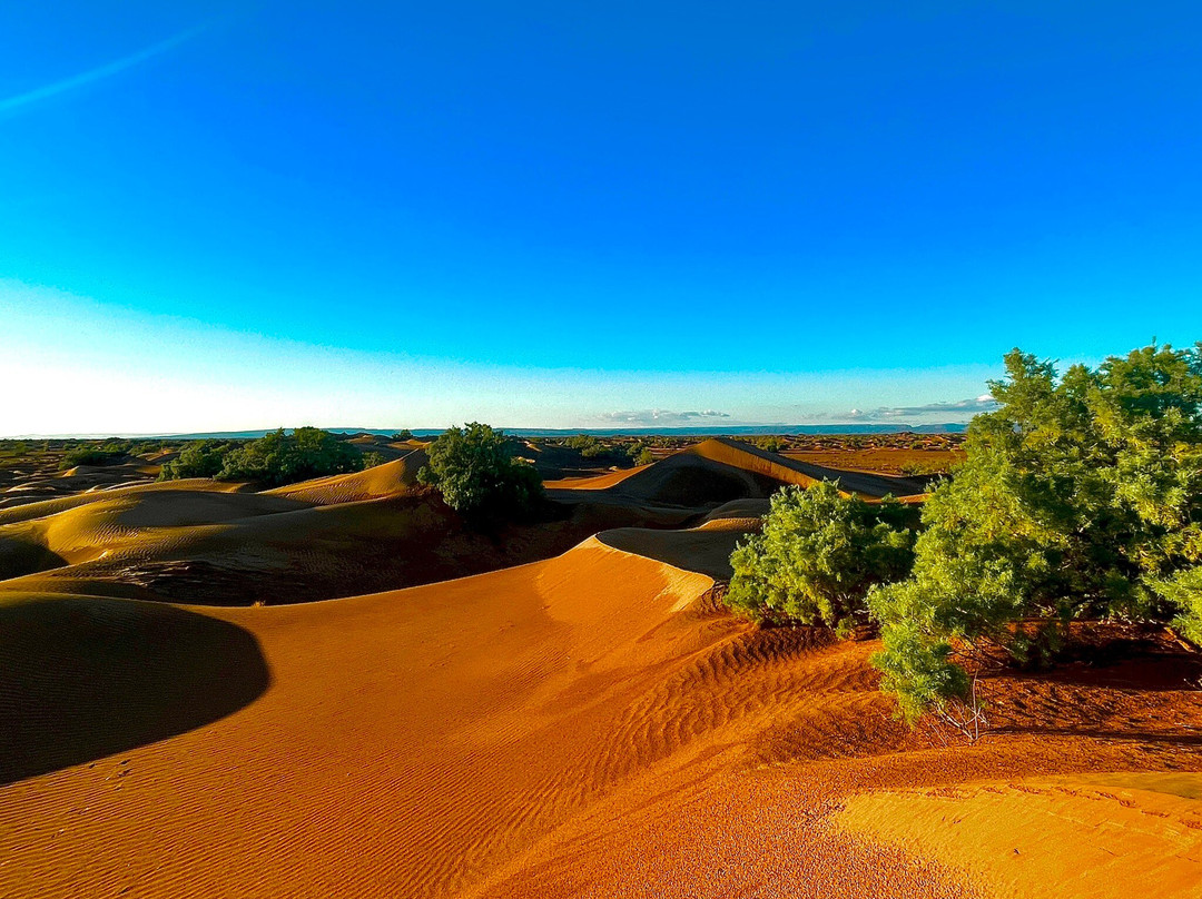 Dar Sidi Bounou主图