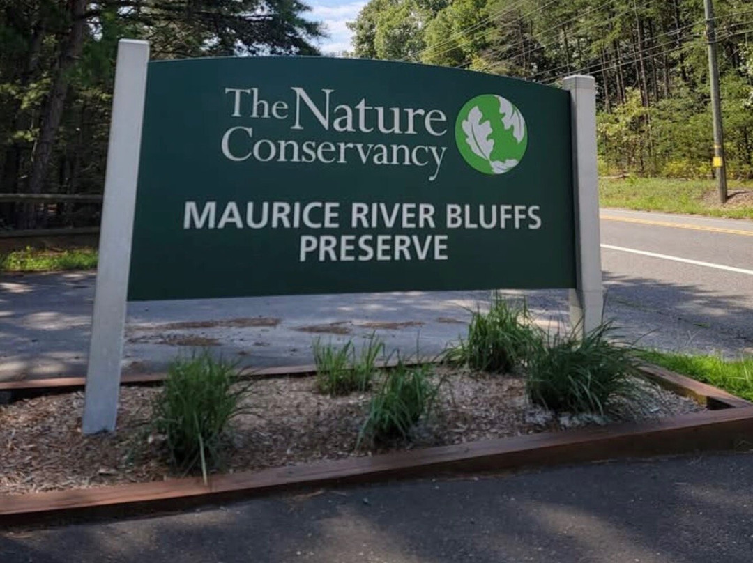 Maurice River Bluffs  Nature Preserve-Millville必去景点