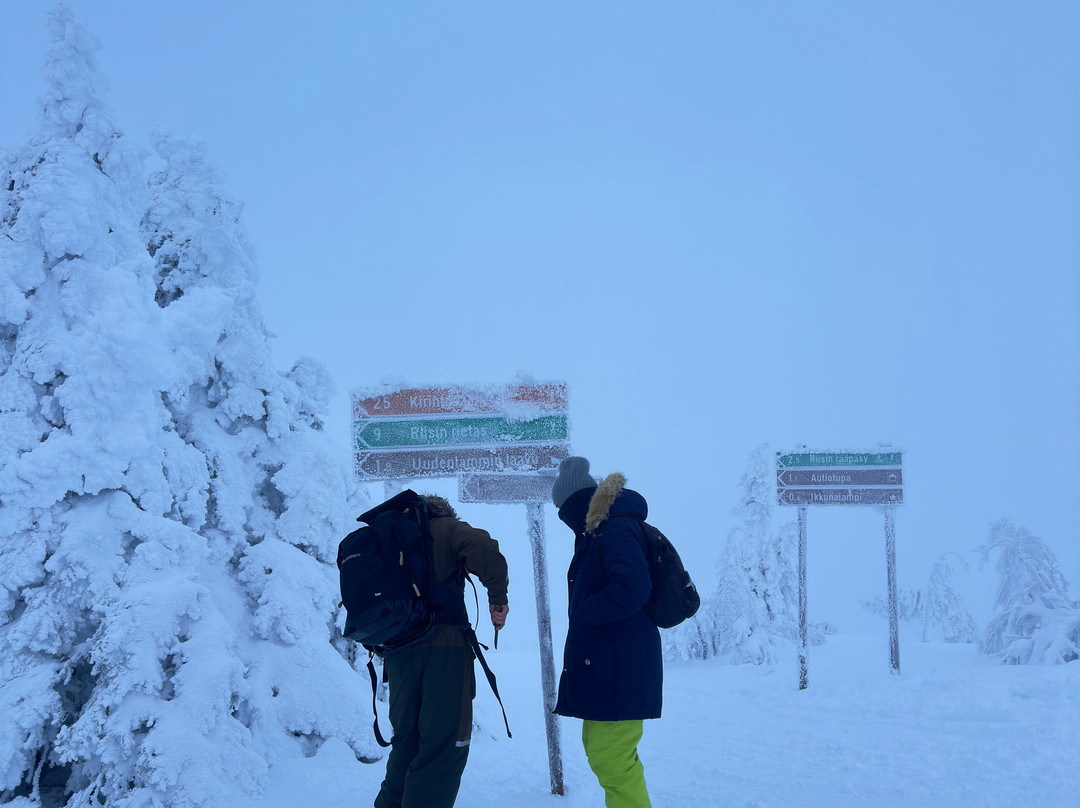 Lupland Adventures-Ranua必去景点