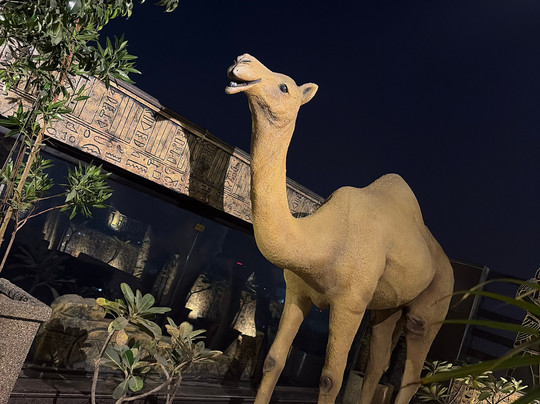 The Grand Arc Hotel & Convention Centre主图