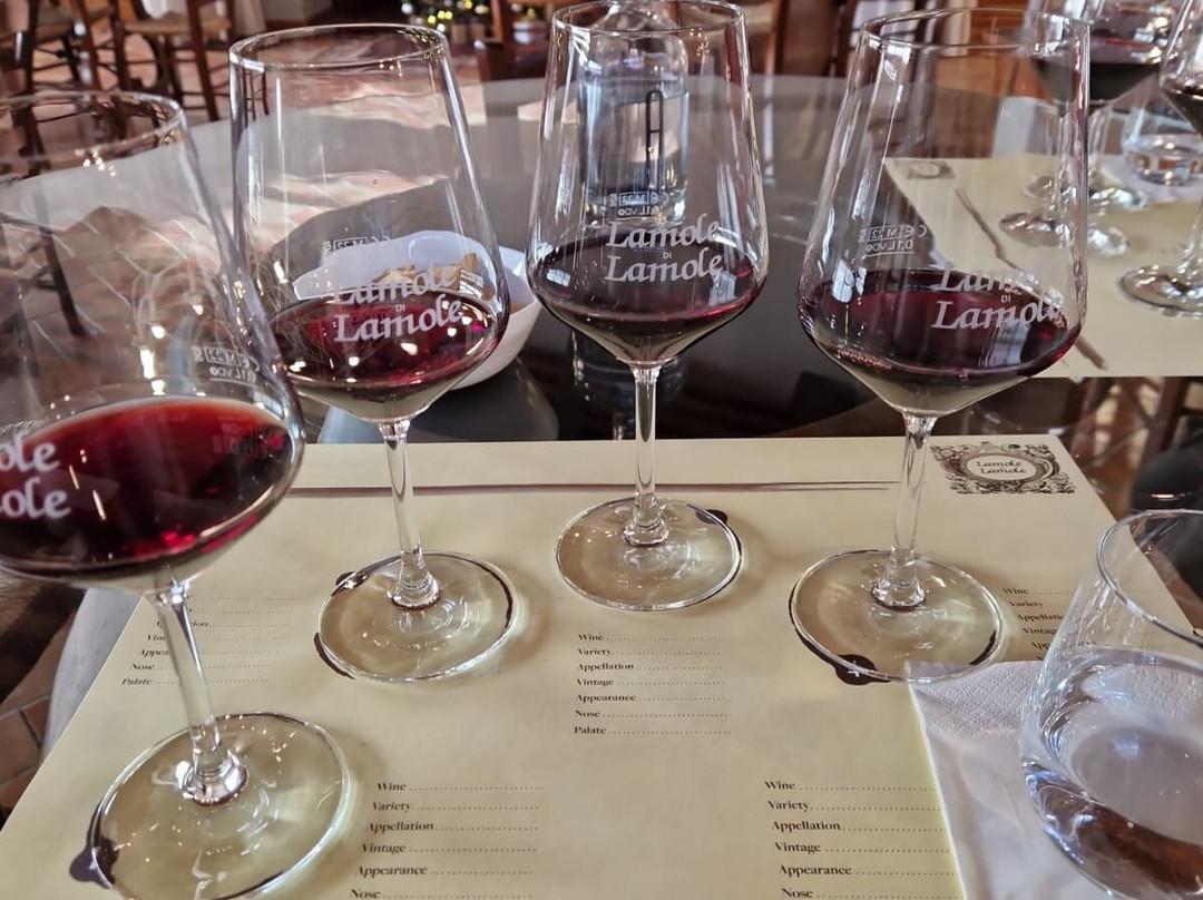 Lamole di Lamole-格雷韦伊恩基亚恩蒂必去景点