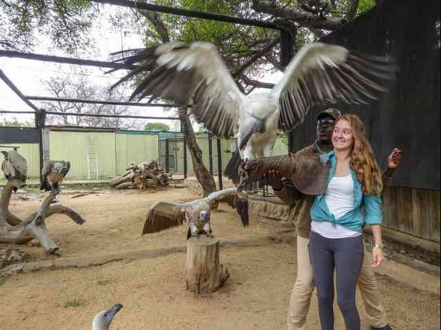 Moholoholo Wildlife Rehabilitation Centre-霍德斯普鲁特必去景点