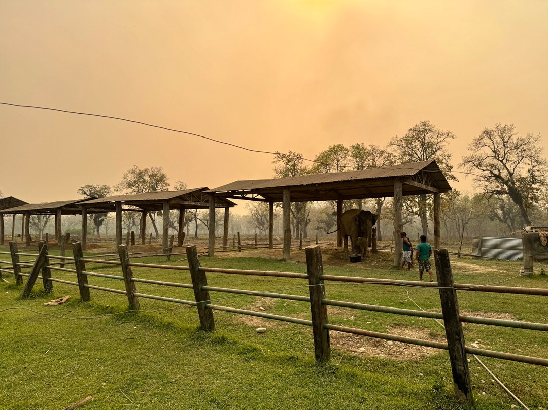 Elephant Breeding Centre-苏拉哈必去景点