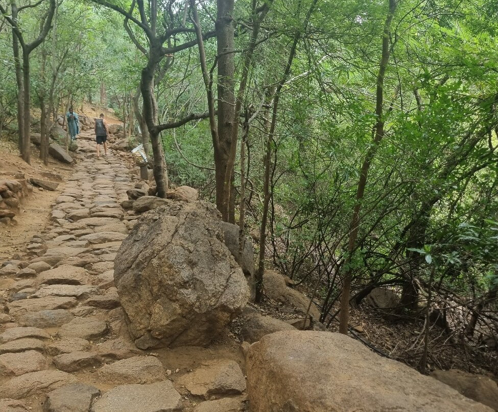 Virupaksha Cave-Tiruvannamalai必去景点