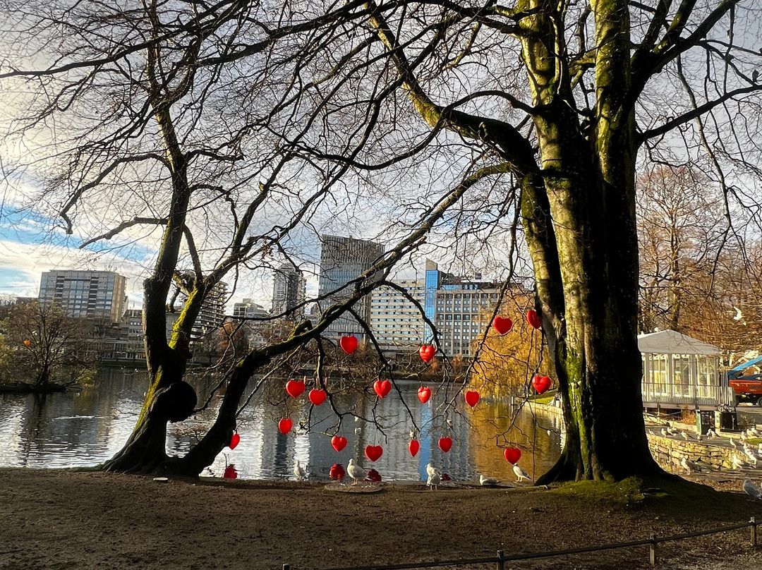 Breiavatnet-斯塔万格必去景点