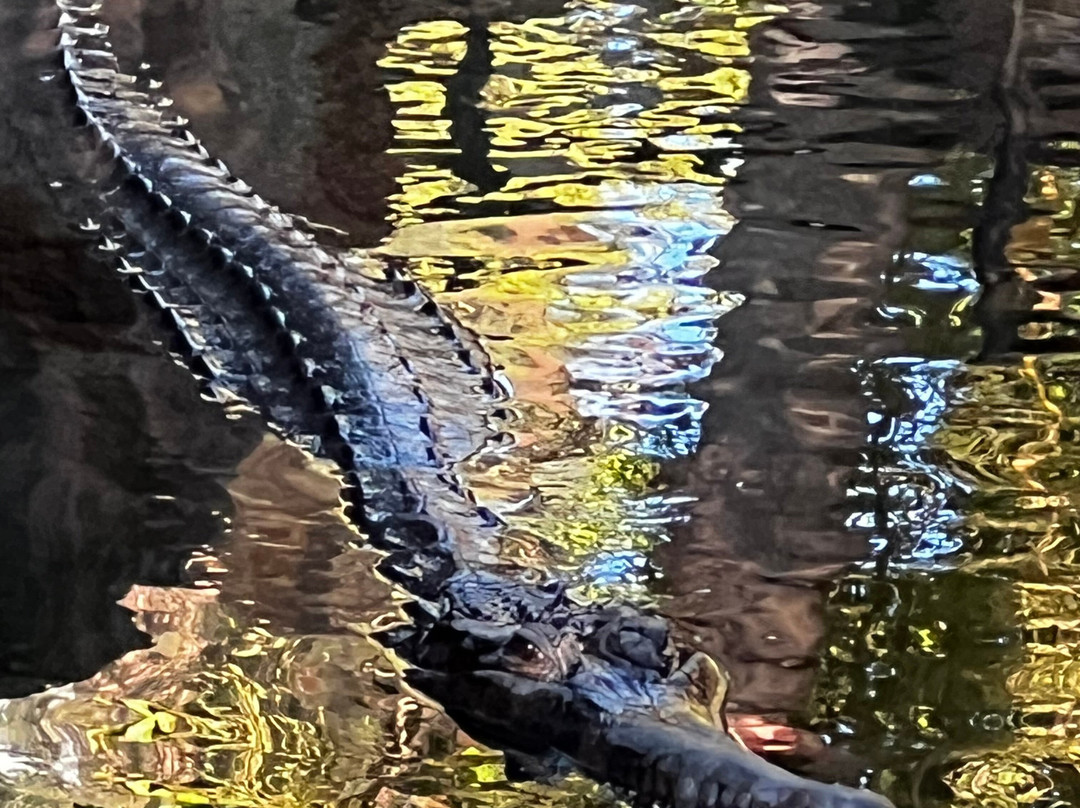 Bioparc Fuengirola-福恩吉罗拉必去景点