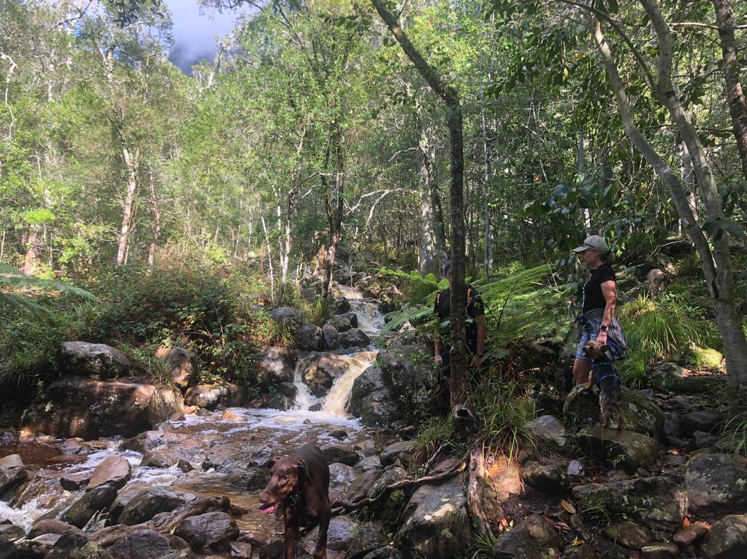 Newlands Forest-Newlands必去景点