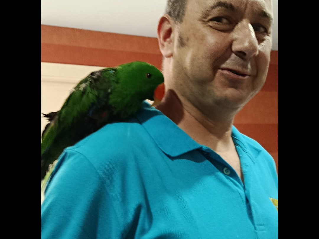 加梅特索酒店主图