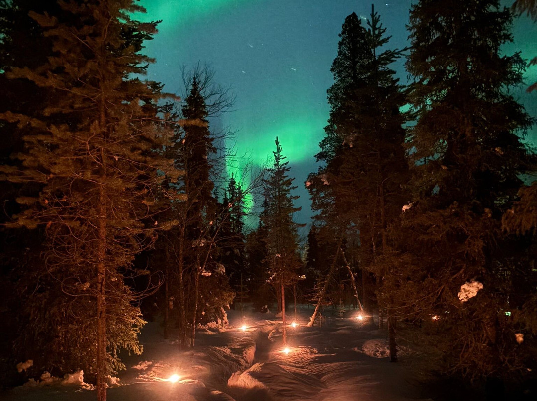 Lapland Safaris Luosto-Luosto必去景点