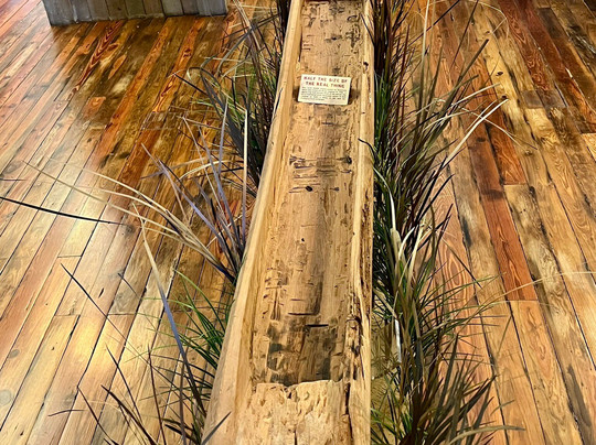 Museum of the Everglades-大沼泽地必去景点