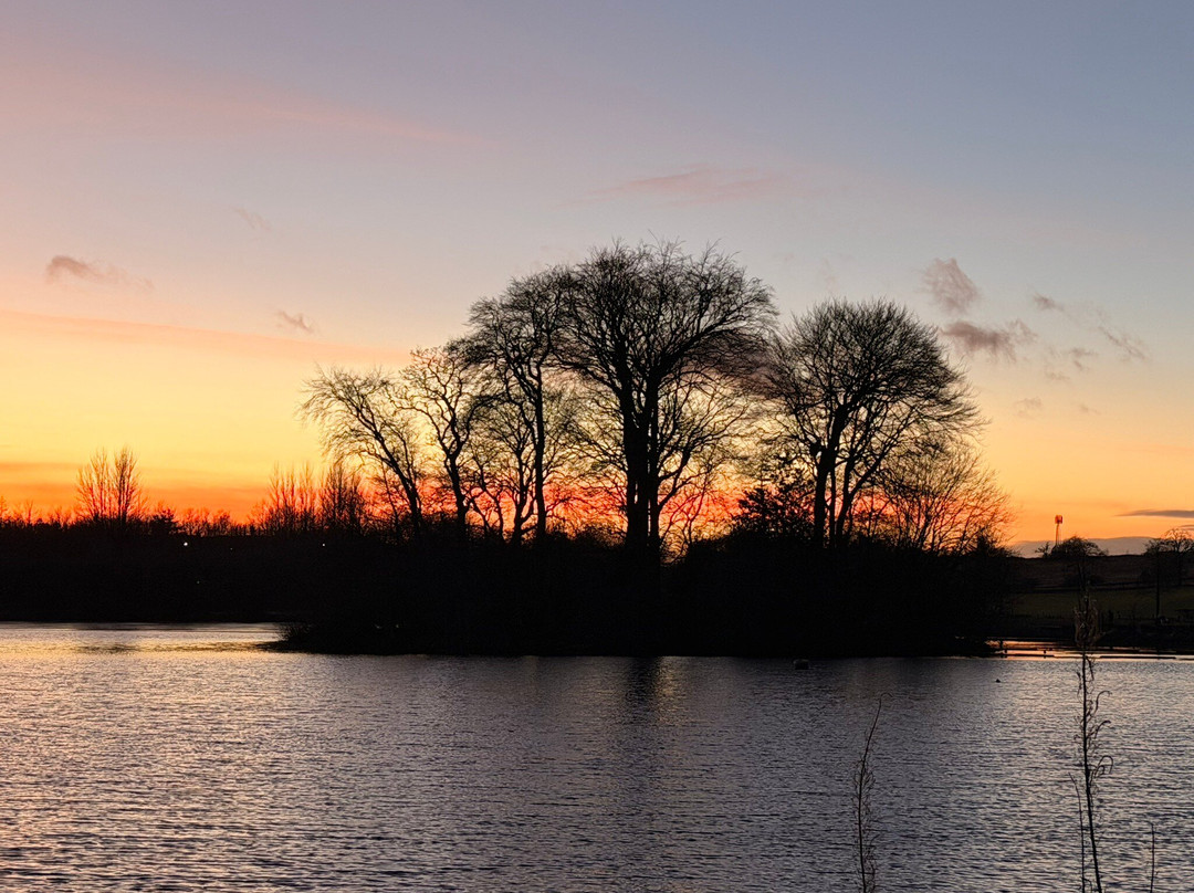 James Hamilton Heritage Park-东基尔布赖德必去景点