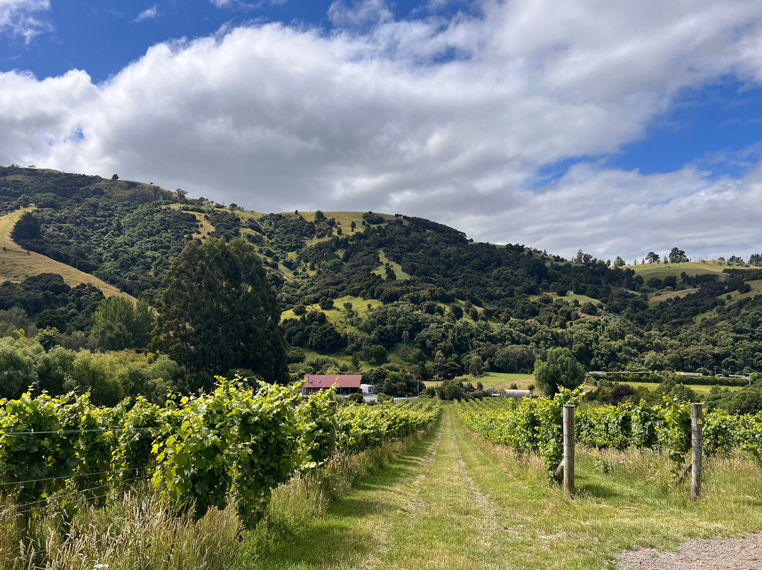 French Peak Vineyard-阿卡罗阿必去景点