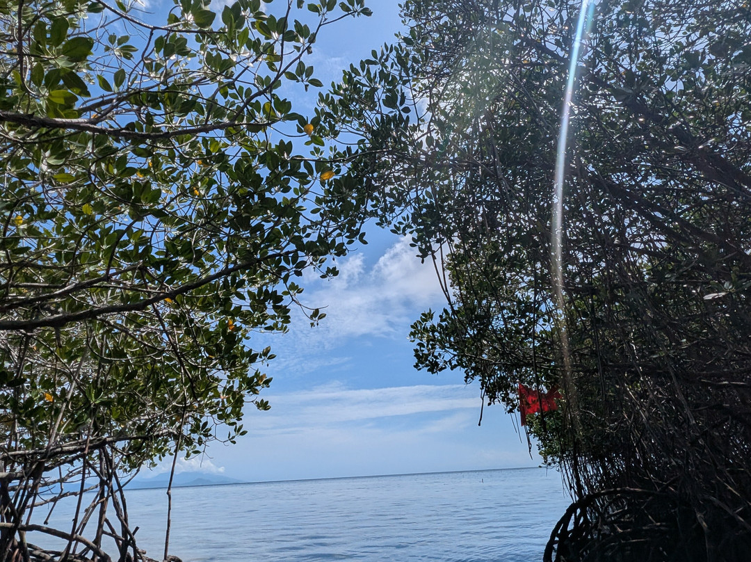 Balitabiyotour-乌布必去景点