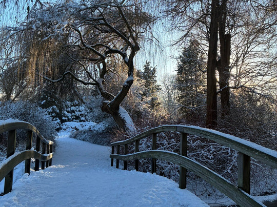 Broersepark-阿姆斯特尔芬必去景点