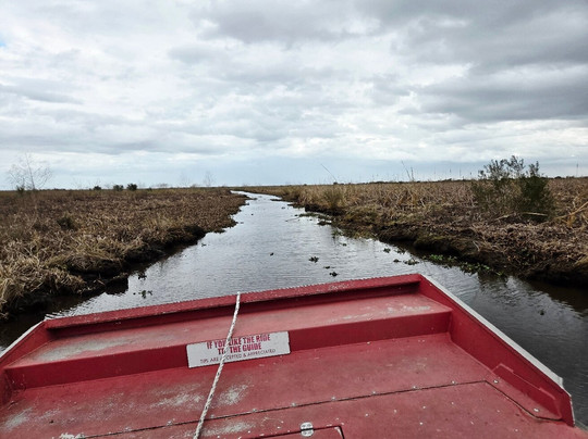 New Orleans Airboat Tours-Marrero必去景点