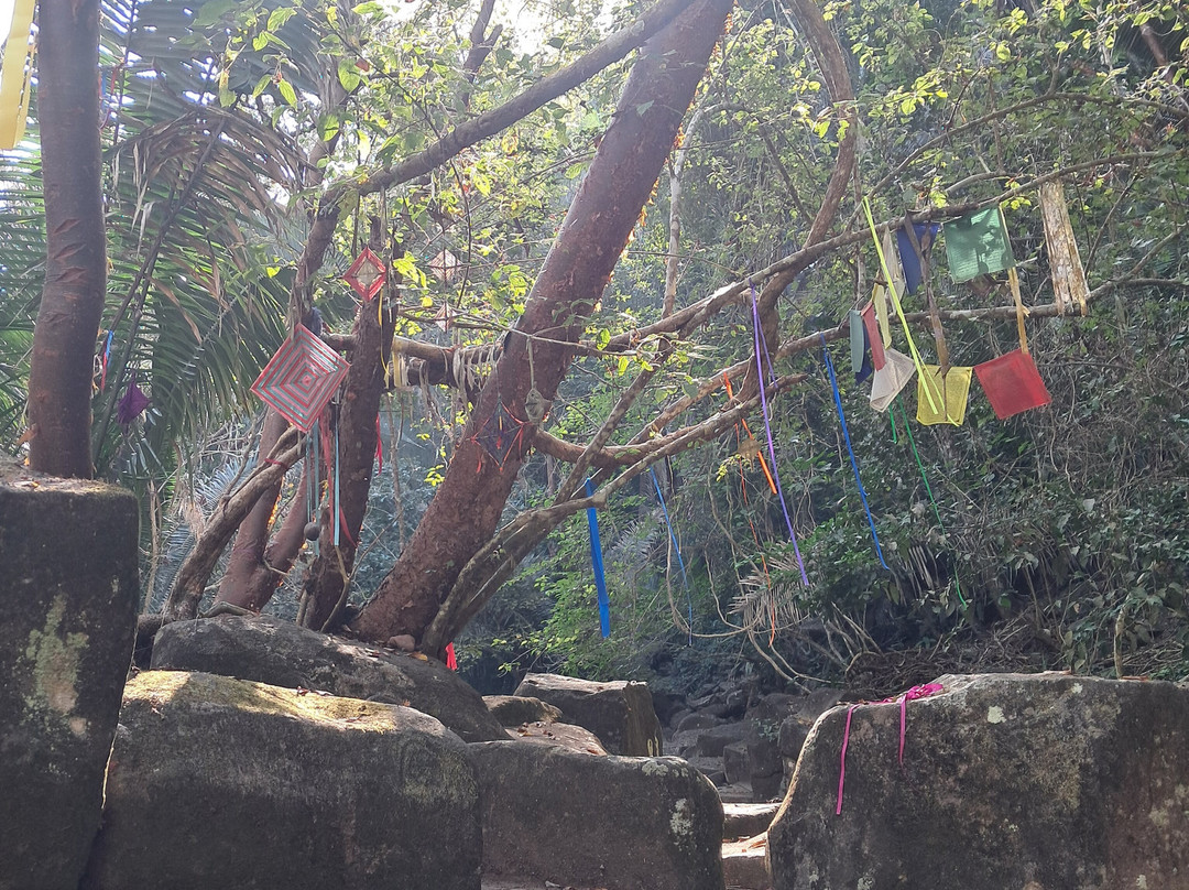 Mystic Embrace-Chacala必去景点