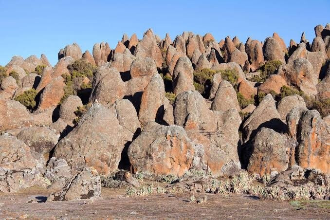 Bale Mountains National Park-亚的斯亚贝巴必去景点