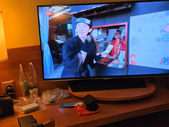 布尔诺假日酒店主图