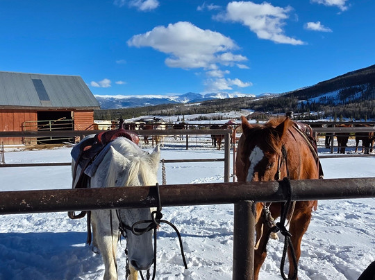 Rocky Mountain Stables-格兰比必去景点