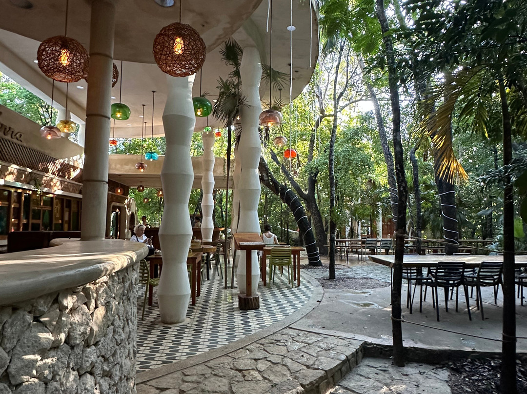 Holistika Tulum-图伦必去景点