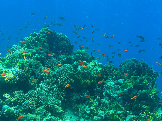 Egypt International-赫尔格达必去景点