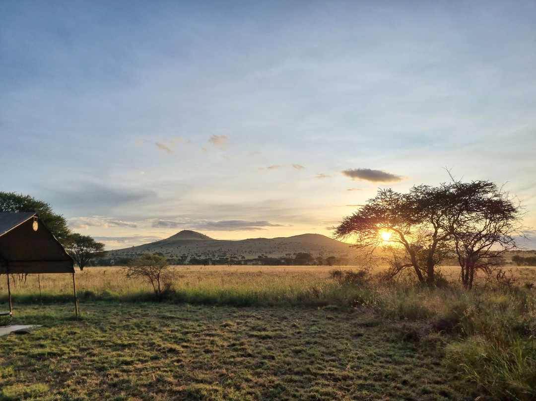 Travel Sensations-戈斯利必去景点