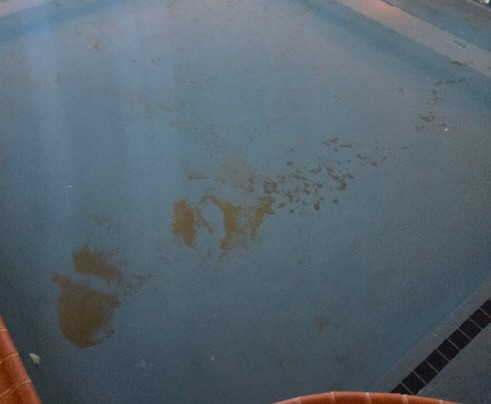 Hampton Inn & Suites Longview North主图