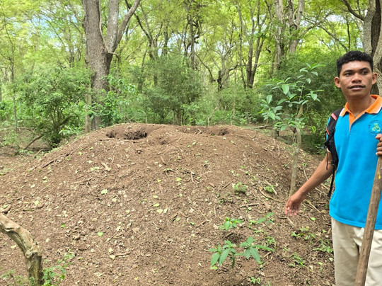 Top Komodo Tours-Labuan Bajo必去景点