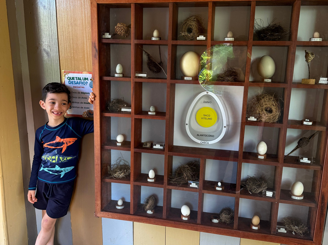 Parque Arvorar-Aquiraz必去景点