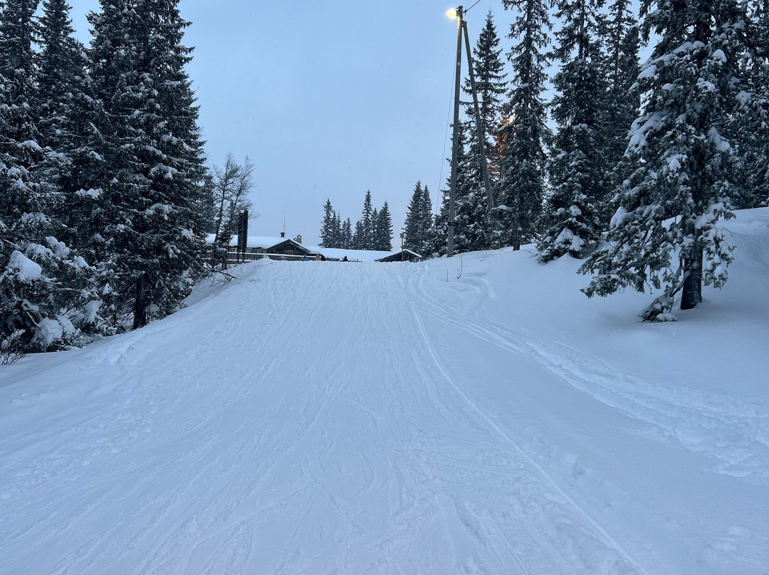 Skistar Trysil-特吕西尔市必去景点