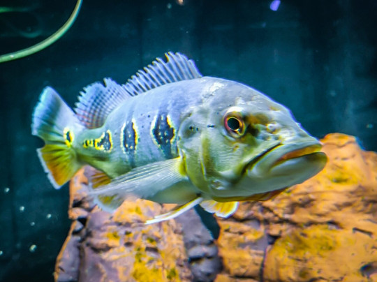 Museo di Storia Naturale - Universita di Pisa-Calci必去景点