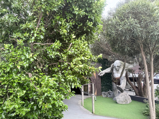 Red Carpet Tours-奥克兰中心地区必去景点