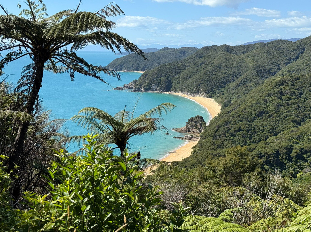 Abel Tasman Guides-玛拉豪必去景点