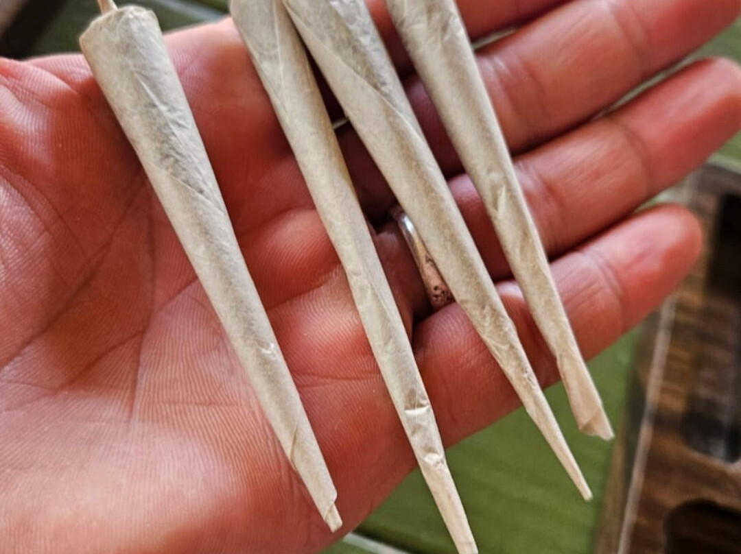 Jacana Farm Tours-奥乔里奥斯必去景点