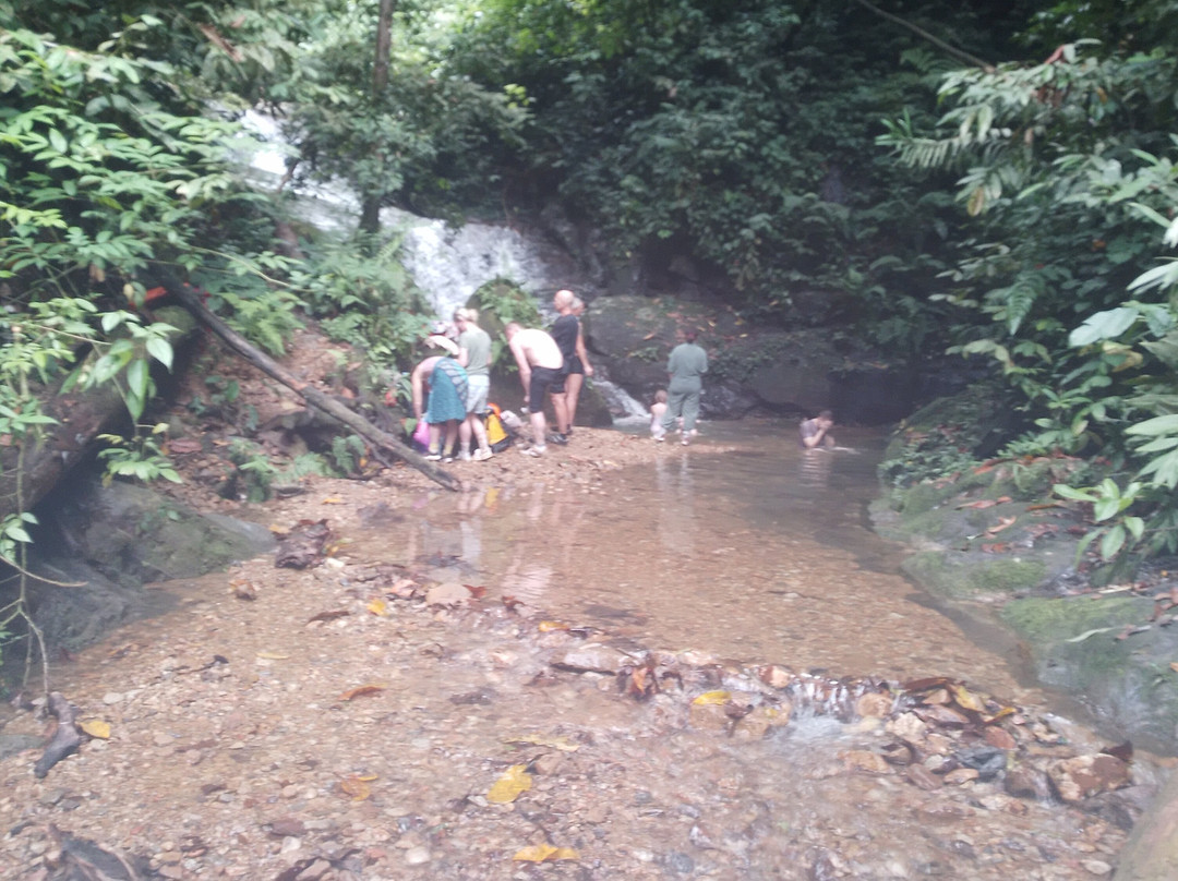 Sumatra Orangutan Tours-武吉拉旺必去景点