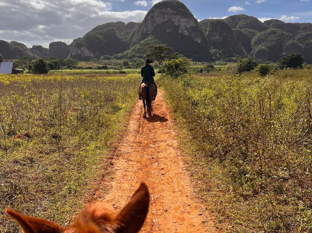 JMC Vinales Aventura-维纳勒斯必去景点