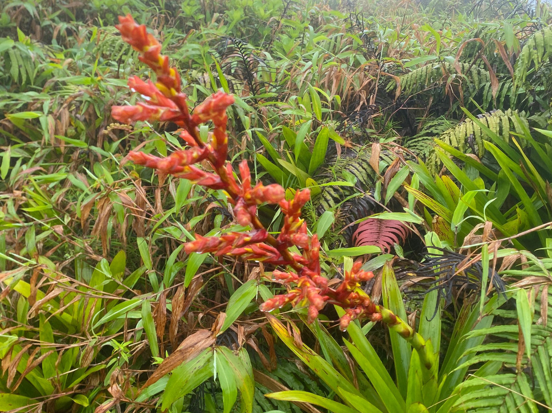 Rando A2Pas-Ducos必去景点