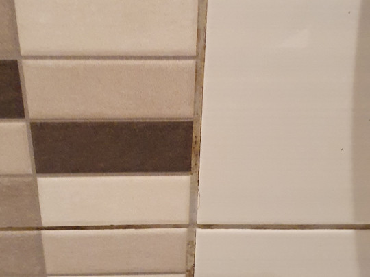 普瑞米尔格兰露斯酒店主图