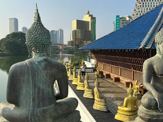 Sure Sri Lanka - Day Tours-科伦坡必去景点