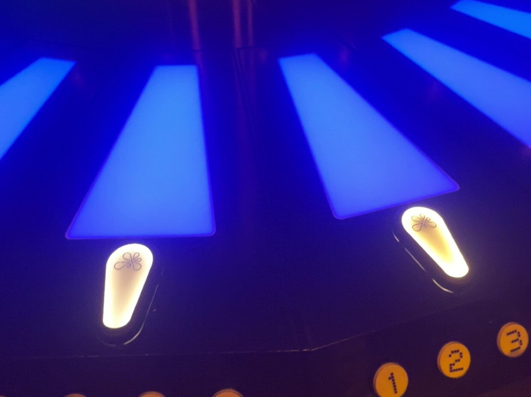 Moir - The Museum Of Infinite Realities-布鲁塞尔必去景点