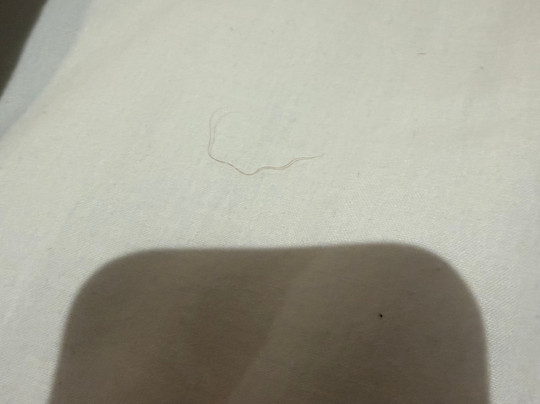 The Sea Lounge主图