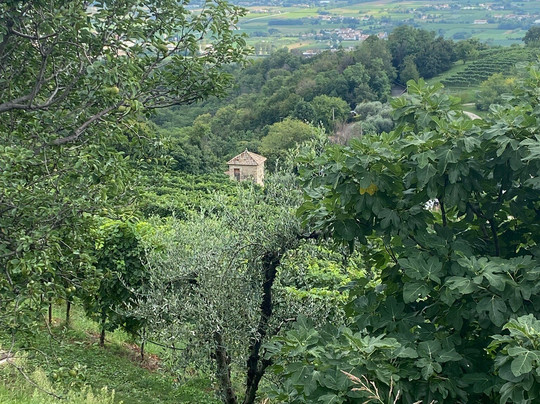 Asolo Manor Wine-阿索洛必去景点