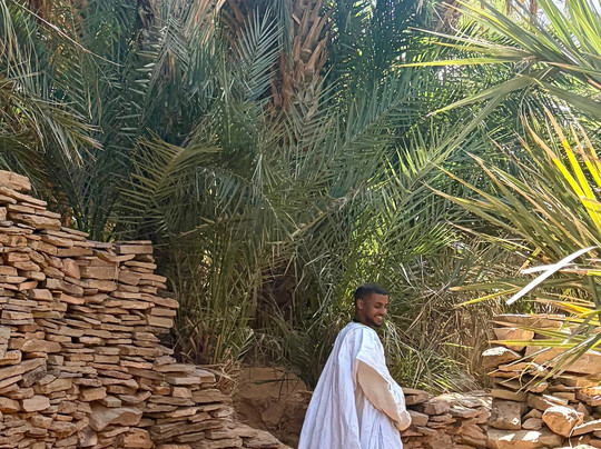 Mauritania desert voyages-诺克少必去景点