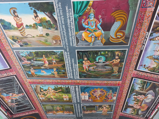 Thillai Nataraja Temple-Chidambaram必去景点