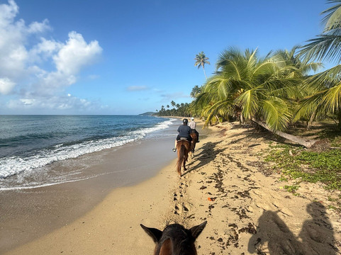 Esperanza Riding Company-维切克岛必去景点