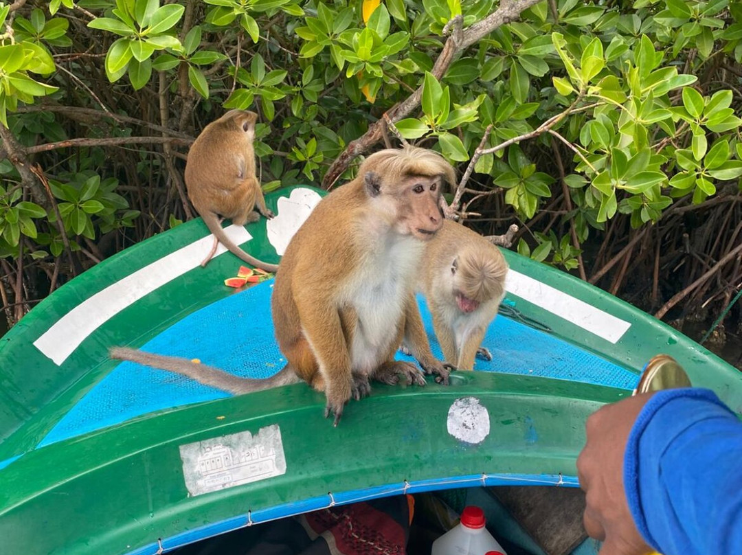 Reise Auf Sri Lanka-卡卢特勒必去景点