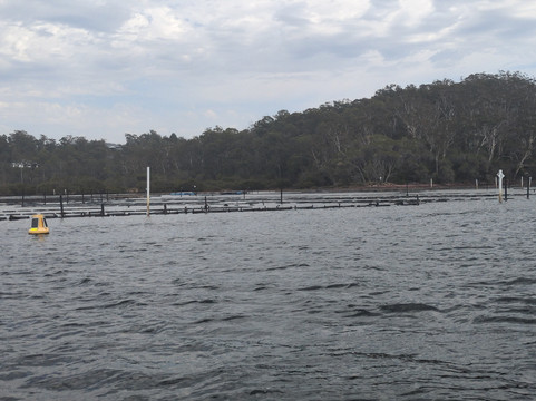 Captain Sponges Magical Oyster Tours-Pambula必去景点