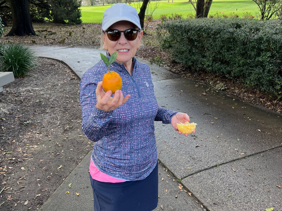 Baseline Golf Course-奥卡拉必去景点