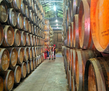 Distillerie Maison La Mauny-Riviere-Pilote必去景点